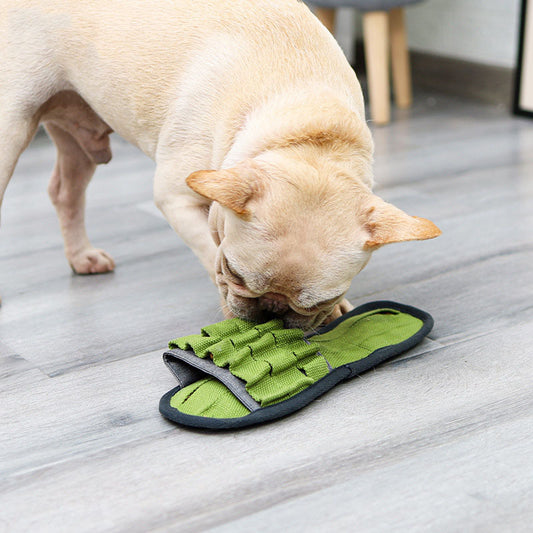 Durable Bite-Resistant Squeaky Dog Toy – Tough & Fun for Active Pets