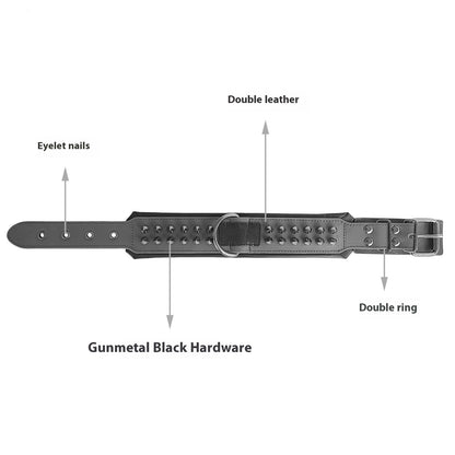 Spiked Leather Dog Collar – Rugged Style with Rivet Detail