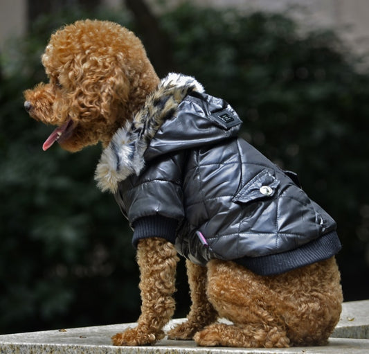 Chic Winter Hooded Dog Coat – Luxe Puffer with Faux Fur Collar