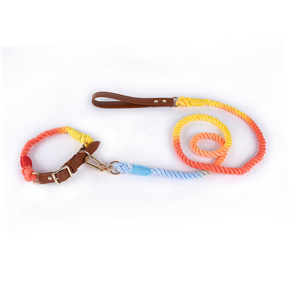 Woven Leather & Cotton Rope Leash Set – Bold Style Meets Everyday Strength