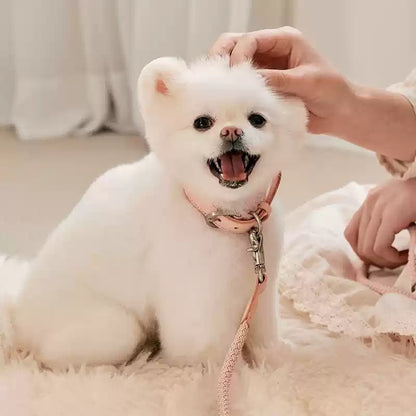 Mini Leather Collar & Leash Set – Anti-Bite Design for Small Pets
