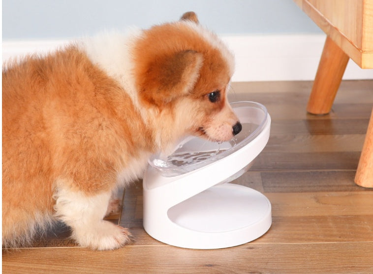 ErgoLift™ Elevated Cat Bowl – Transparent Tilted Design