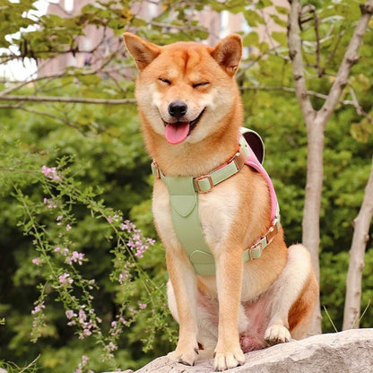XLarge Pet Vest Style Chest Strap