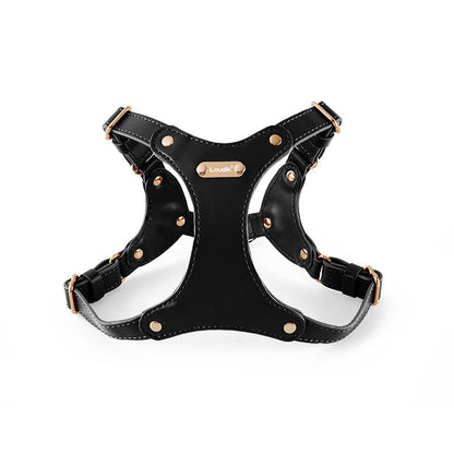 Luxury Leather Chest Harness – Sleek & Secure (6 colours available)