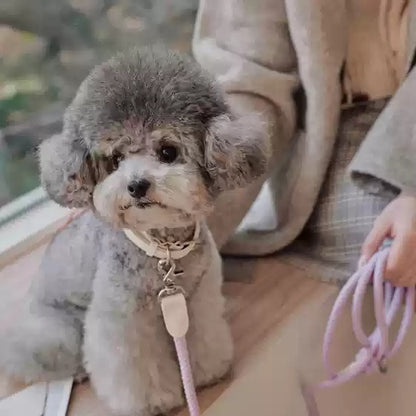 Mini Leather Collar & Leash Set – Anti-Bite Design for Small Pets