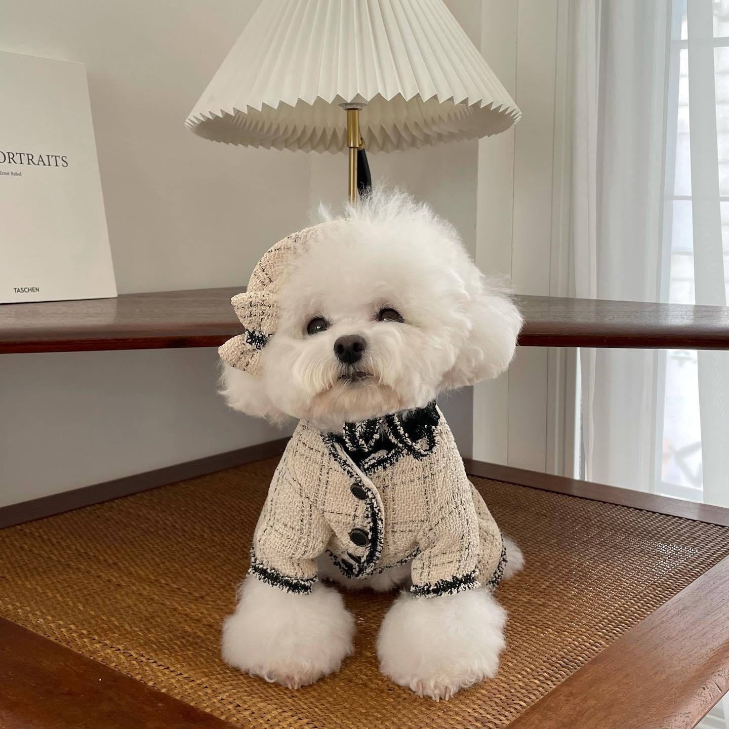 Chic Beige Tweed Pet Dress with Matching Accessories