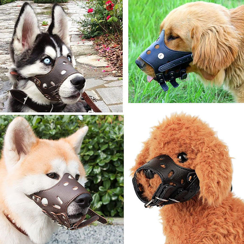 Signature Leather Dog Muzzle – Handcrafted Elegance (Fast Shipping)