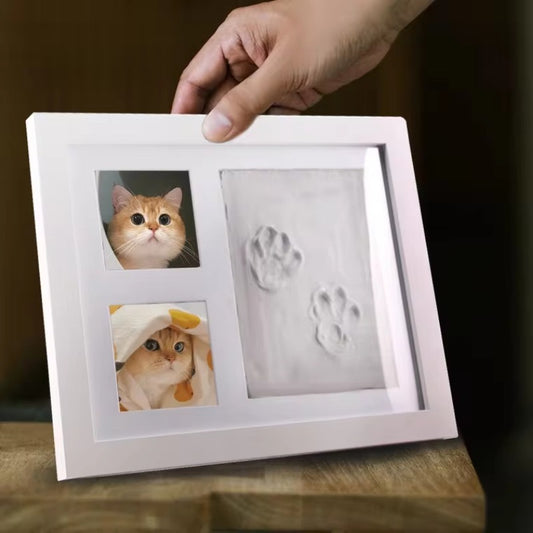 Pet Paw Print Memory Frame