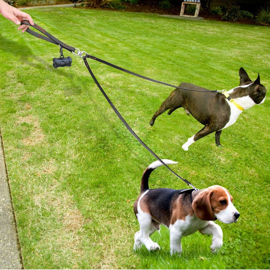 Luxury Handmade Leather Dog Leash – Dual-Handle Elegance for Refined Control