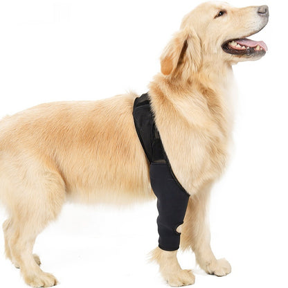 Supportive Dog Leg Brace – Adjustable Knee & Joint Protector for Post-Surgery or Injury Recovery