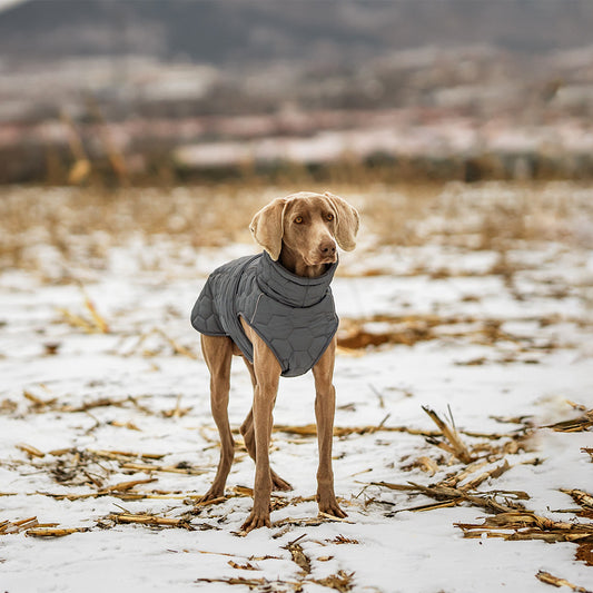 Luxury Fleece-Lined Winter Coat – Tailored Cold-Weather Jacket for Refined Pets