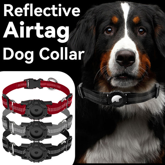 Reflective Anti-Lost Pet Collar – Sleek, Secure & AirTag-Ready
