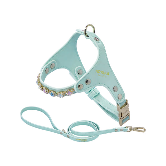 Glam Adjustable Harness & Leash Set – With Rhinestone Sparkle