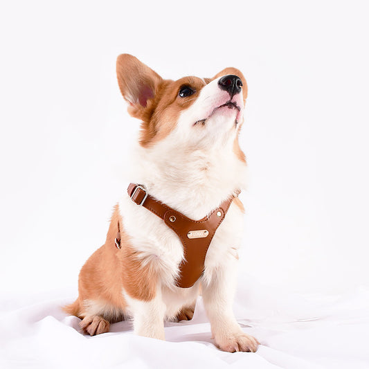 Luxury Leather Chest Harness – Sleek & Secure (6 colours available)
