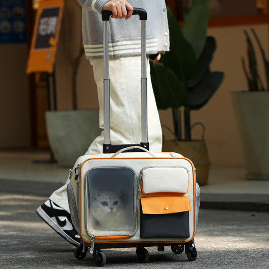 3-in-1 Pet Carrier – Convertible Trolley, Backpack & Shoulder Bag for Travel