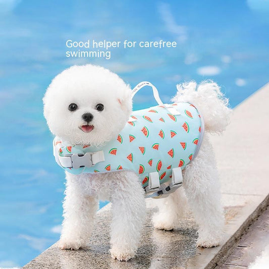 Chic Buoyancy Life Vest – Fruit Print Safety Swimwear for Dogs