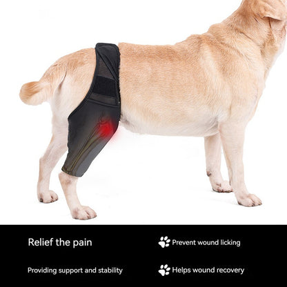 Supportive Dog Leg Brace – Adjustable Knee & Joint Protector for Post-Surgery or Injury Recovery