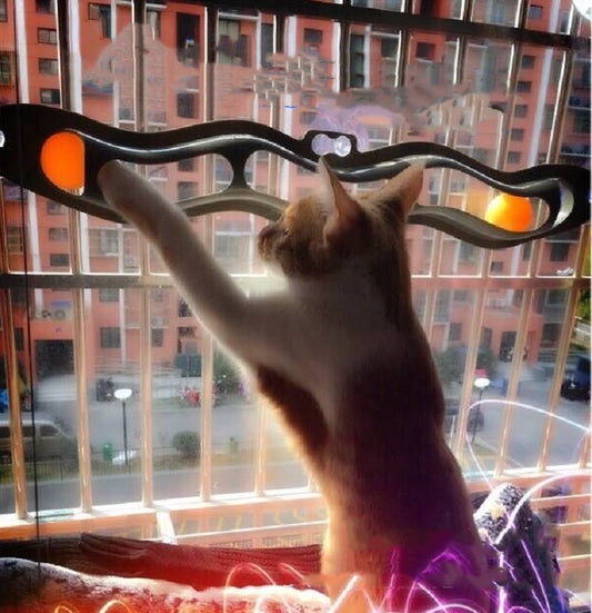 Cat Track Ball – Interactive Windowsill Toy for Curious Climbers