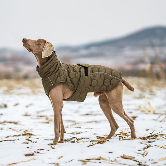 Luxury Fleece-Lined Winter Coat – Tailored Cold-Weather Jacket for Refined Pets