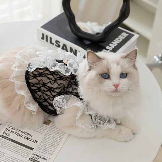 Elegant Lace Pet Harness Dress – Black with Gold Heart Detail