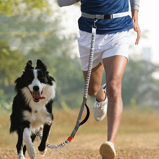 Adjustable Outdoor Dog Leash – Hands-Free Running Belt with Stretch